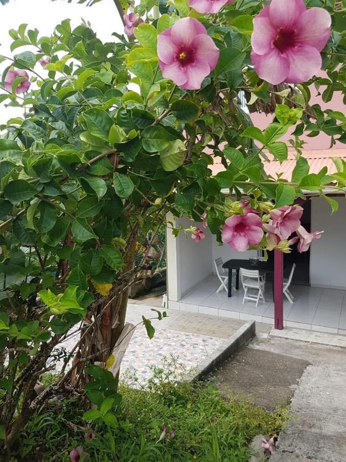 F1 Studio Martinique Guinée-Fleury 외부 사진